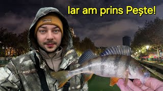 Am PESCUIT la SPINNING pe DÂMBOVIȚA în PLOAIE și FRIG dar PEȘTELE tot lam PĂCĂLIT 🐟 [upl. by Enilkcaj480]