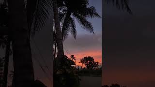 This view✨ 💫SunsetNatureastrophileviralvideo youtubeshortssunset skymillionviews myhome [upl. by Laurice520]