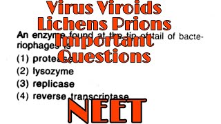 Biological Classification  Virus Viroids Lichens amp prions  Important Questions  NEET [upl. by Aniroc892]