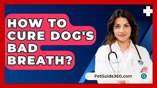 How To Cure Dogs Bad Breath  PetGuide360com [upl. by Iralam770]