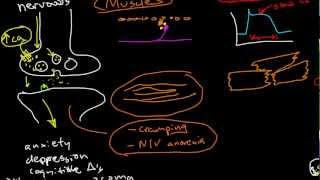 Oncologic Emergencies Hypercalcemia [upl. by Nama258]