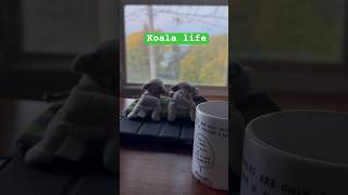 Coffee with Koala [upl. by Margaretta]