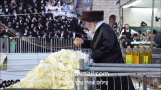 Lag Baomer 5776 With Toldos Aharon Rebbe In Meron [upl. by Yniattirb33]