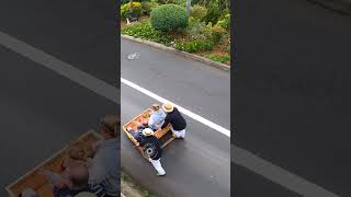 Madeira Toboggan Ride on Traditional Wicker Basket Sledges shorts [upl. by Eusebio745]