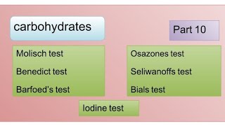 Molisch  Benedict  Barfoeds  seliwanoffs  Bials  Osazone amp Iodine test [upl. by Enneirdna196]