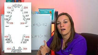 Triadan Numbering System Explained [upl. by Taimi]