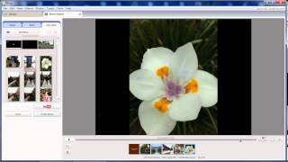 How to make a Video from Picasa [upl. by Wilma]