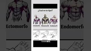 biotipo ectomorfo mesomorfo endomorfo gymmotivation gym calisthenics calistenia sigma [upl. by Nitsir461]