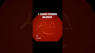 C elegans celebrate Halloween [upl. by Bal]