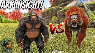 DINOPITHECUS VS THE GIGANTOPITHICUS STAT ANALYSIS AND BATTLE TO THE DEATH  Ark Insight [upl. by Ketty]