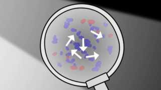 What is Brownian motion  Chemistry for All  The Fuse School [upl. by Demetri]