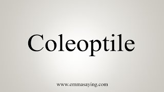 How To Say Coleoptile [upl. by Pammi444]