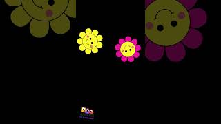 quotBaby Sensory Vibrant Flowers Bright Colors amp Fun for Little Onesquot [upl. by Damiano]