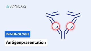 Antigenpräsentation  Biochemie  AMBOSS Video [upl. by Jules]