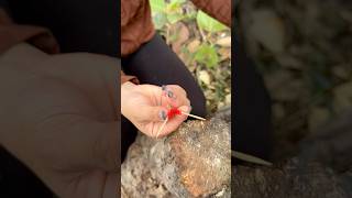 Survival Skills Single mom show SMART idea and USEFUL in forest camping bushcraft outdoor [upl. by Namlaz544]