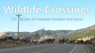 US 36 Wildlife Crossings Information Meeting [upl. by Nahrut]