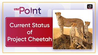 Current Status of Project Cheetah  Cheetah Reintroduction  To The Point  Drishti IAS English [upl. by Vanni]