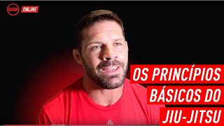 Os Princípios Básicos do JiuJitsu [upl. by Blinny601]