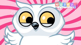 SOWA ODLOTOWA Piosenka Dla Dzieci 🦉💖NutkiDlaMaluchów [upl. by Enaelem]