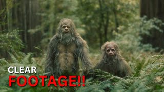 The Clearest Bigfoot Footage You Will Ever See [upl. by Ratha]