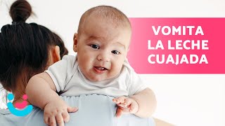 Mi bebé VOMITA la LECHE CORTADA 👶🏻🤱🏻 ¿Es normal ¿Qué hacer [upl. by Eiramesor]