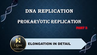 PROKARYOTIC REPLICATION PART 3 csirnet lifescience science [upl. by Mcquillin]