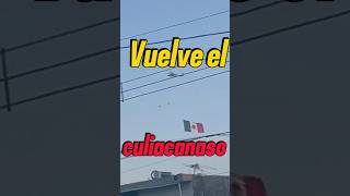 El culiacanazo lospshorts narcos culiacan ejercitomexicano narcosmexico [upl. by Eimat938]