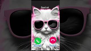 good cat calling [upl. by Glynis]