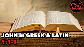 The Bible in 3 Greek amp Latin Pronunciations John 115 Jōhannēs • Ἰωάννης [upl. by Dent]