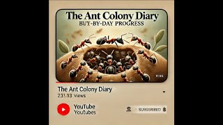 The Ant Colony Diary Day by Day Progress [upl. by Ahsenauj]