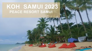 Koh Samui Travel Peace Resort Samui on Chaweng Thailand 2023 Hotel Tour urlaubjunkiez [upl. by Ainegul]