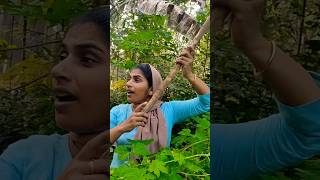 അയ്യോ കഷ്ട്ടായി പോയി youtubeshorts shorts comedy funny love [upl. by Weiss]