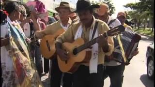 Folia de Reis é tradição da cultura popular  Repórter Brasil noite [upl. by Ysiad]