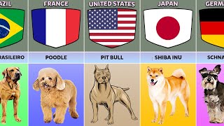 Dog Breeds From Different Countries [upl. by Nagap]