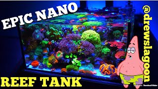 Epic Nano Reef Tank drewslagoon [upl. by Leterg]