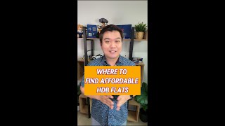 Want Affordable HDB FLATS Heres the Insiders Guide [upl. by Eissen54]