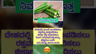 drumstick uses Kannada amazingfactsinkannada food amazingfacts interestingfactsinkannadafood [upl. by Haldes]