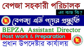 বেপজা সহকারী পরিচালক এর কাজ কি । বেপজা সহকারী পরিচালক পরীক্ষা প্রস্তুতি । BEPZA AD post er kaj ki [upl. by Kcirre]