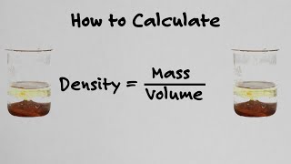 How To Calculate Density  With Examples [upl. by Noerb]