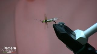 Little Stonefly [upl. by Eugene]