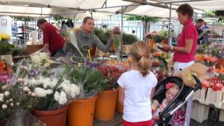 Winterswijk Beste Markt van Nederland [upl. by Ecille]