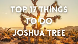 Joshua Tree  Top Things To Do Joshua Tree NP  Best of Joshua Tree National Park  Stargazing [upl. by Euh]