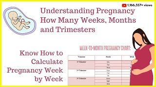 How to Calculate Your Pregnancy by Weeks Months amp TrimestersWeeks into MonthsDue Date Calculator [upl. by Feodore]