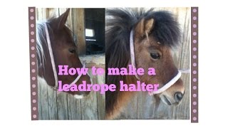 How to turn a leadrope into a temporary halter [upl. by Orit]