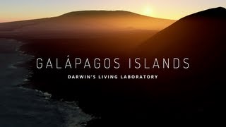 Explore the Galapagos Islands with Google Maps [upl. by Auhsuoj]