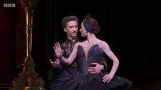 Swan Lake  Act 3  Black Swan Pas de Deux  Marianela Nunez amp Vadim Muntagirov [upl. by Jemmy]