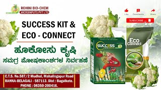 ಹೂಕೋಸು ಕೃಷಿ  cauliflower Growing  ಸಮಗ್ರಪೋಷಕಾಂಶಗಳ ನಿರ್ವಹಣೆ [upl. by Einafats45]