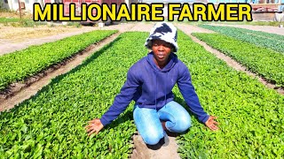 How She Is Living Large Through Selling Seedlings in Chitungwiza Zimbabwe🇿🇼 [upl. by Havstad]