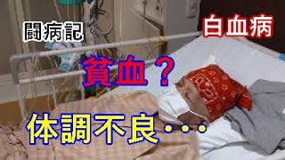 【白血病】貧血ですか？それとも？【闘病記】入院２０日目～２２日目 [upl. by Santini]