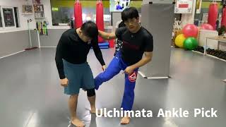 BjjNoGi TakedownsUchimata [upl. by Pimbley221]